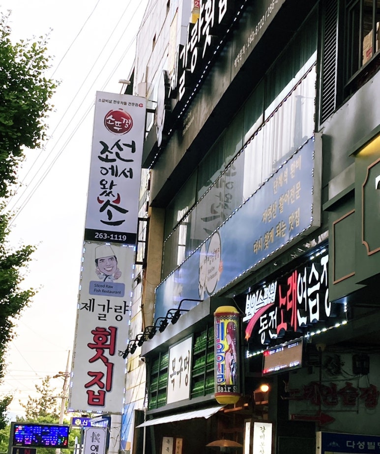 제갈량횟집 이미지
