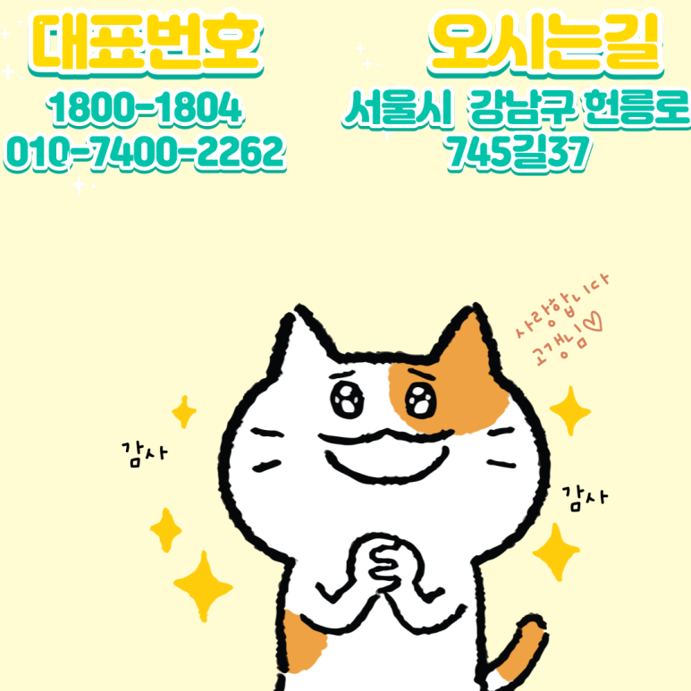 지니렌터카 이미지