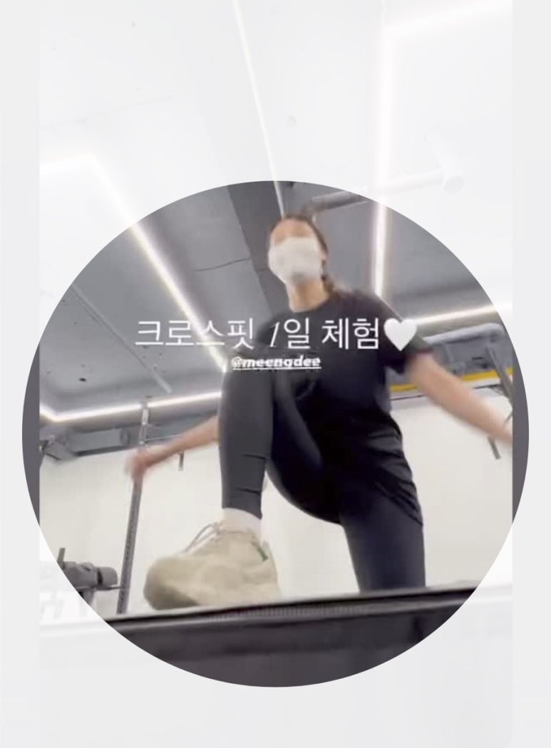 크로스핏하운드 이미지