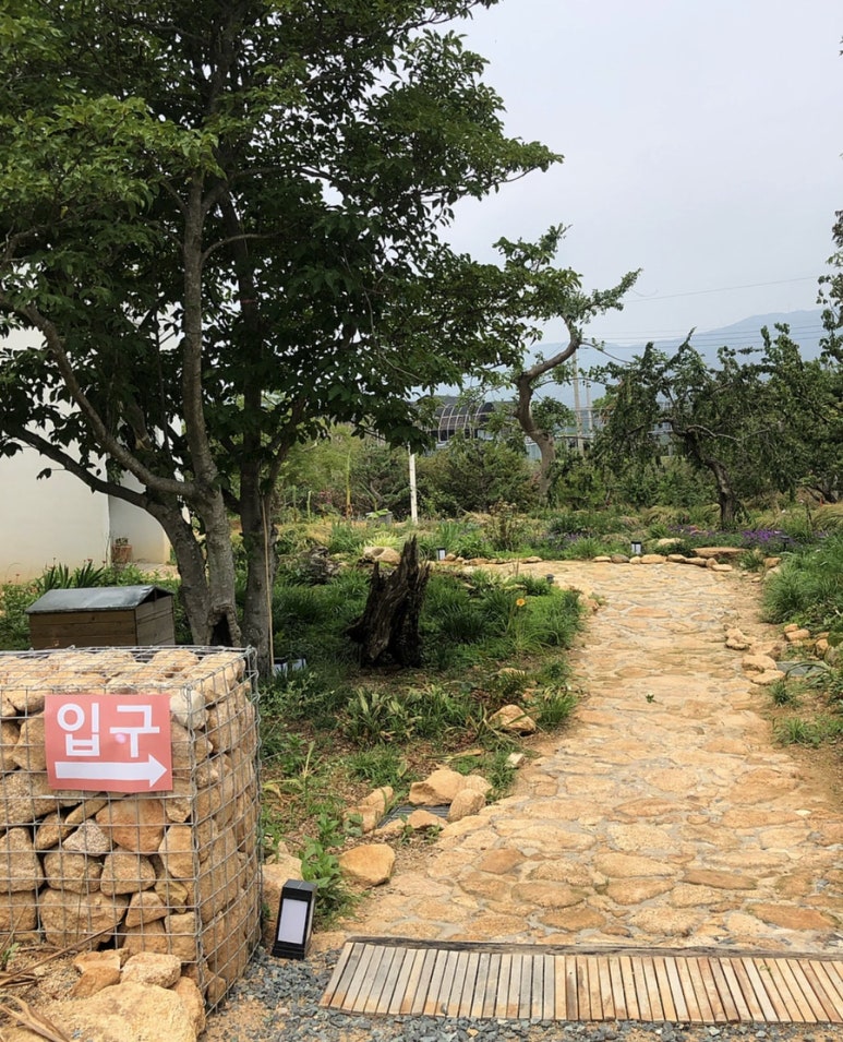 앰비언스 이미지