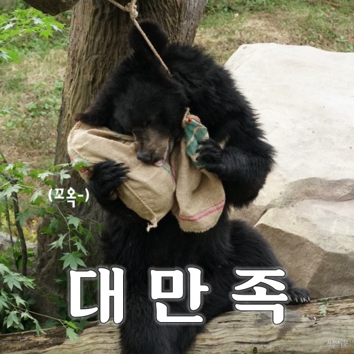 썸헤어 이미지