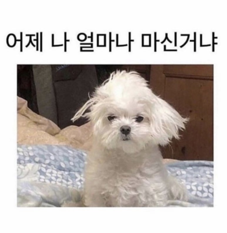 명랑스낵 이미지