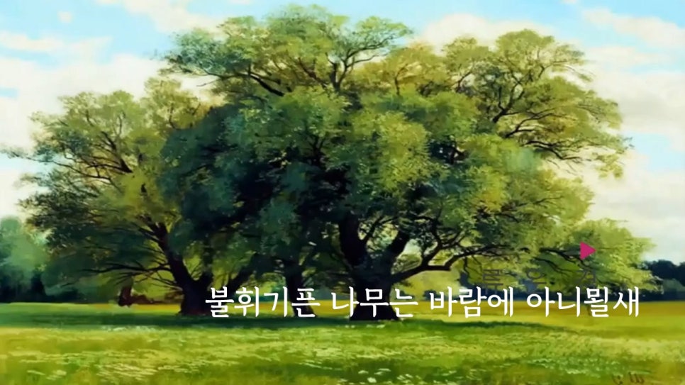 에스디플랜 이미지