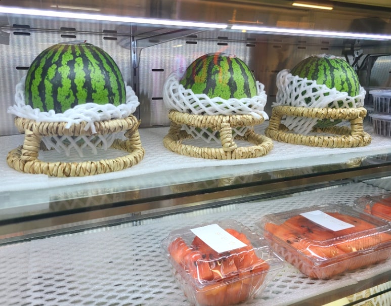 자인담 이미지