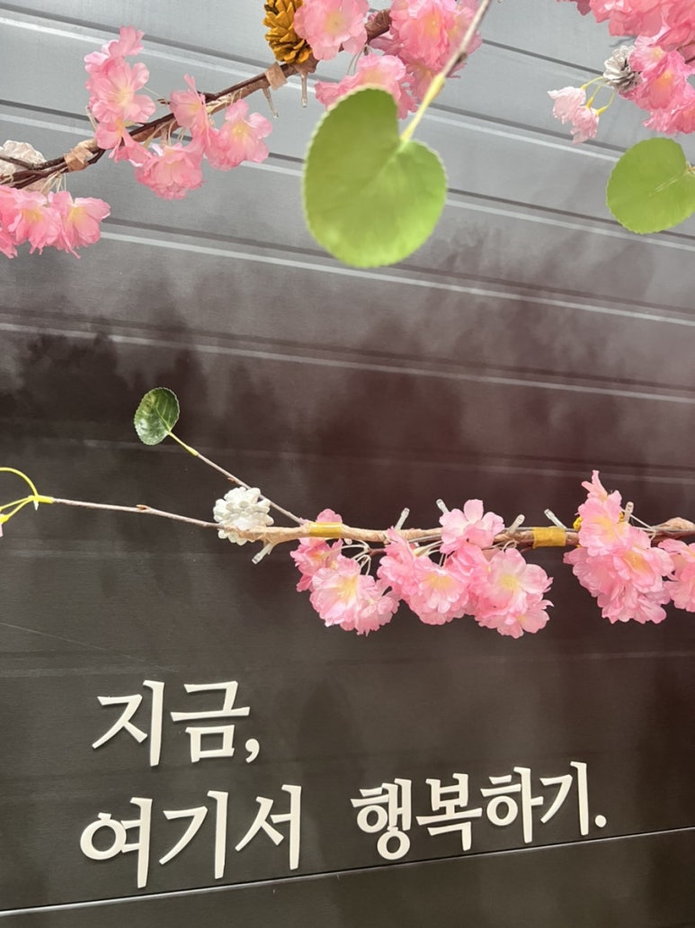 리버972 이미지
