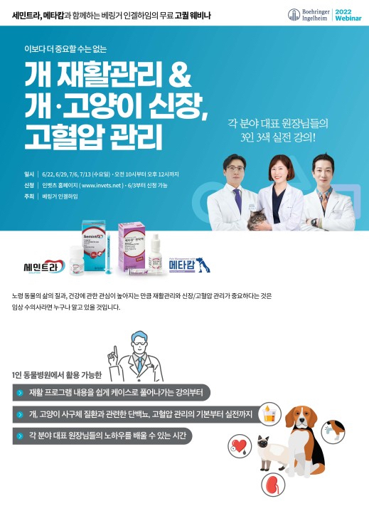 인벳츠 이미지