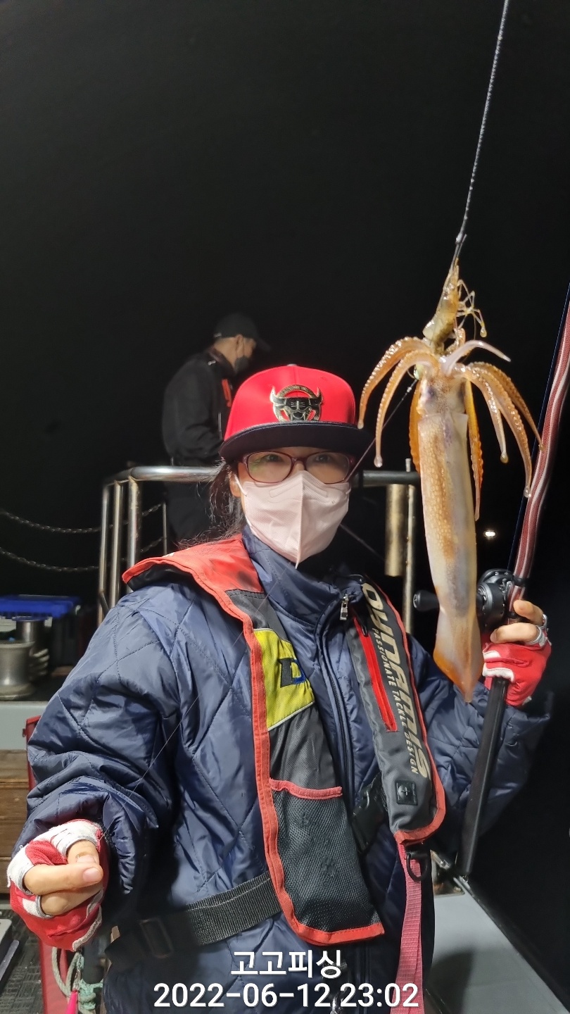 들어뽕피싱 이미지