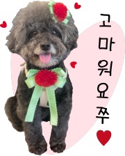 그라시아스꽃집 이미지