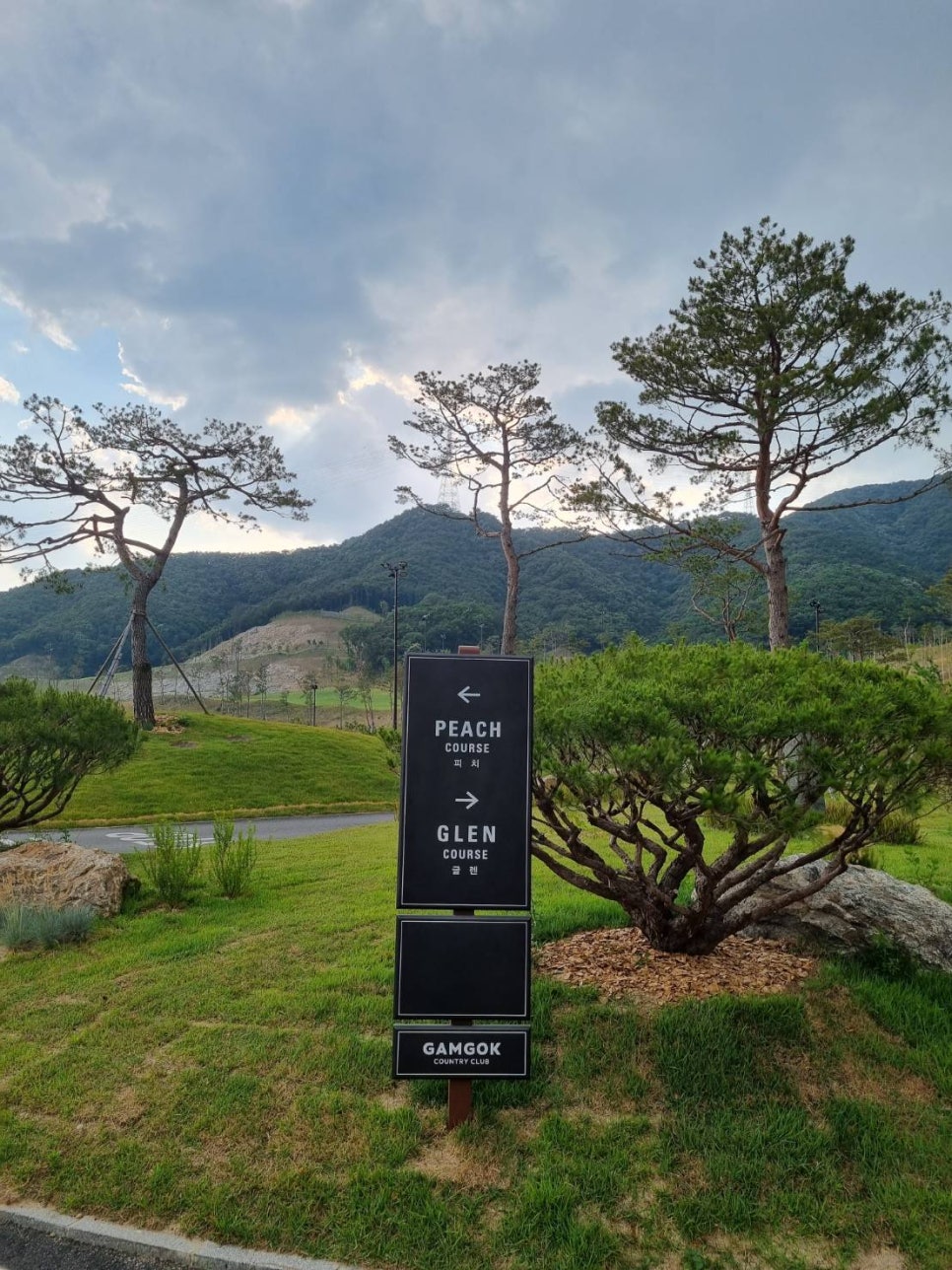 감곡CC 이미지