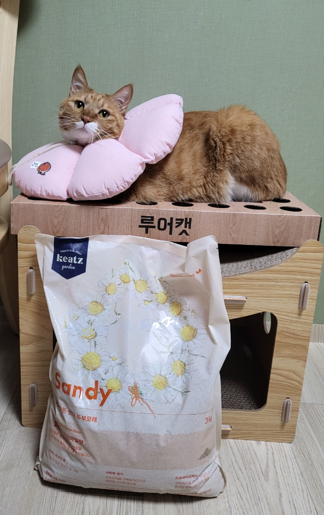 샌디가든 이미지