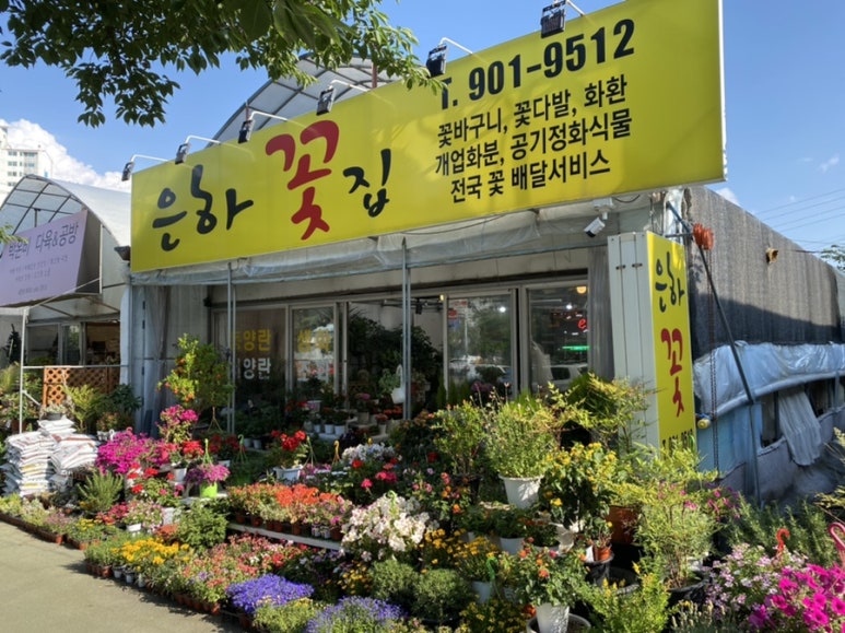 은하꽃집 이미지