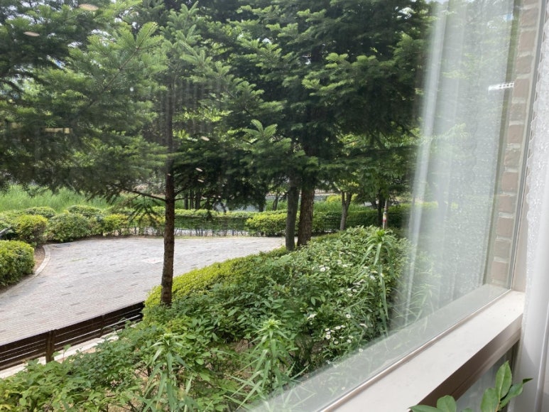 아베크아모르 이미지