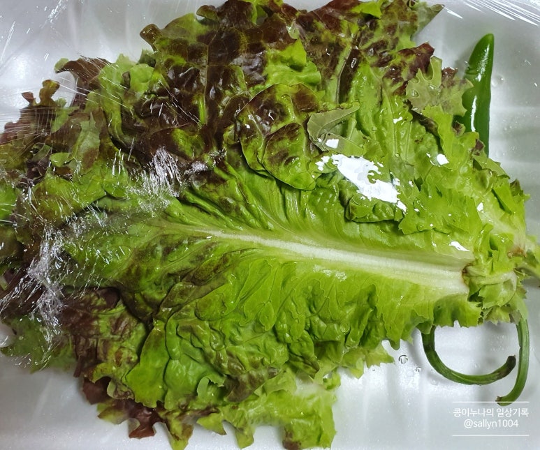 한마음족발 이미지