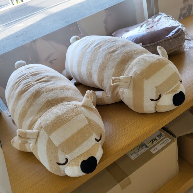 이브자리코디센광주쌍령점 이미지