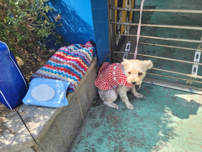 홍천자매식당 이미지
