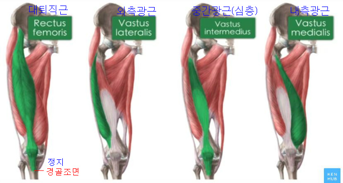 피티챌린지 이미지