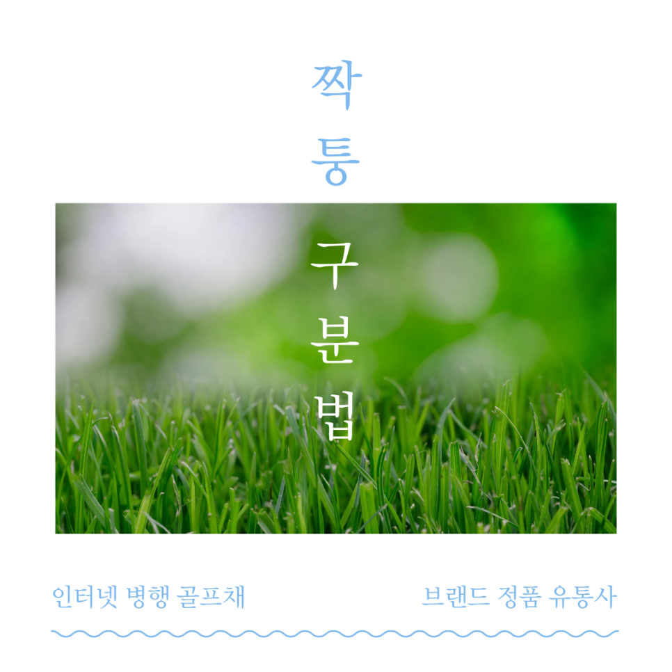 세양인터내셔널 이미지