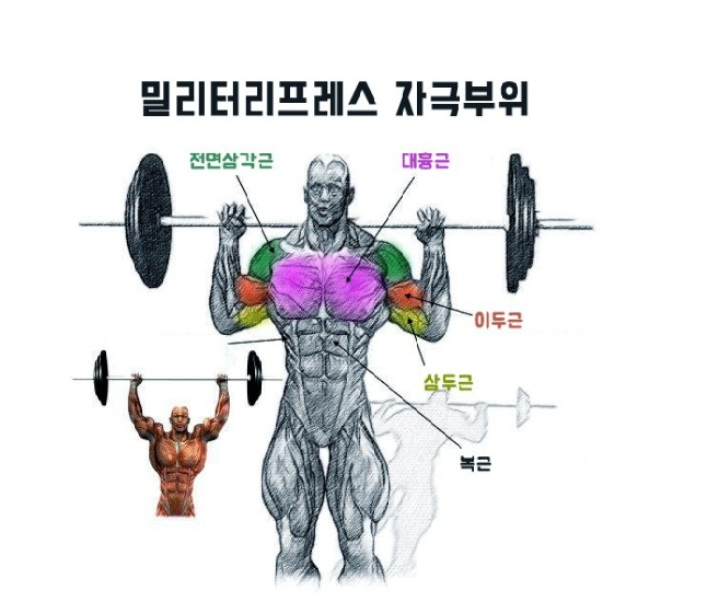 스냅핏 이미지