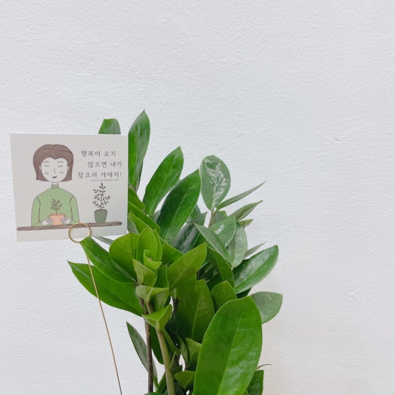 거꾸로가는시간 이미지