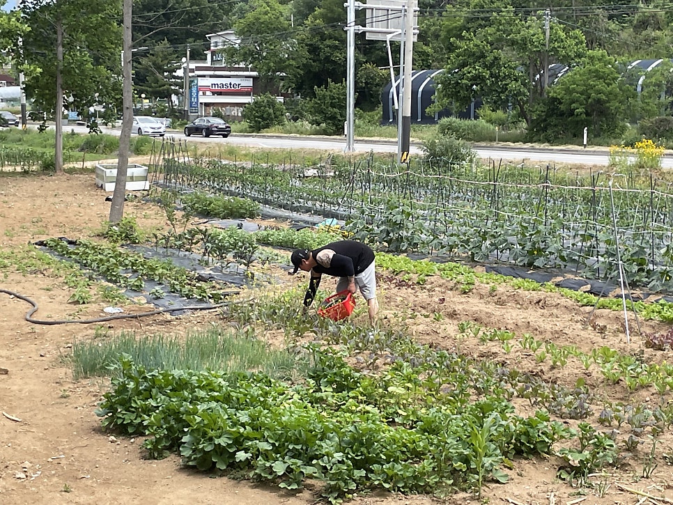 장수어장 이미지