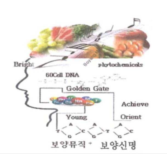 헬스라이프스토리 이미지