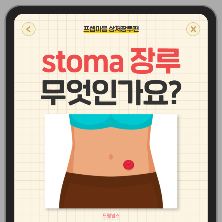 드림널스 공식블로그 : 네이버 블로그