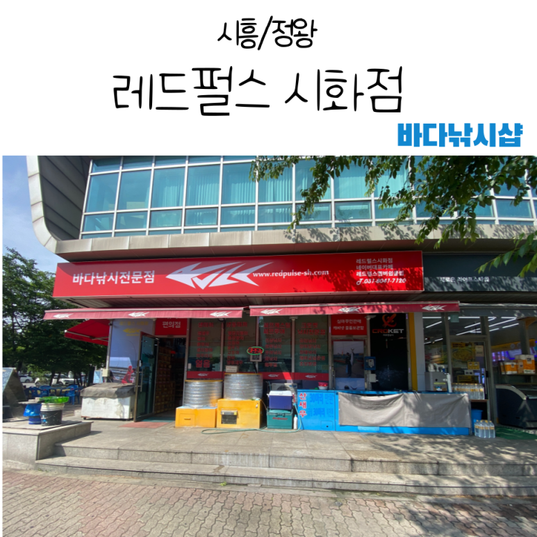 레드펄스시화점 이미지