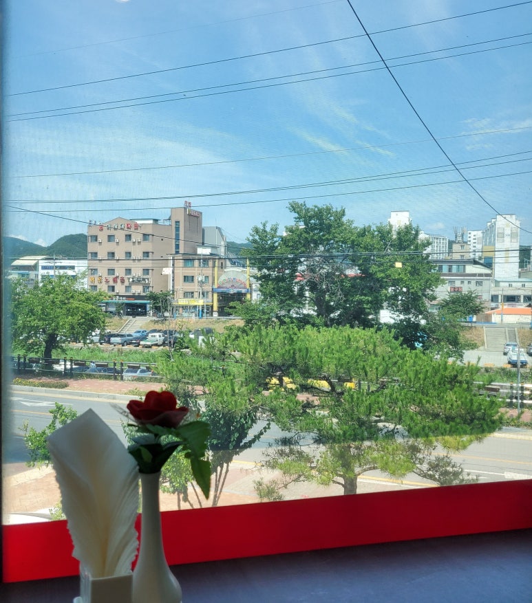새나드리 이미지