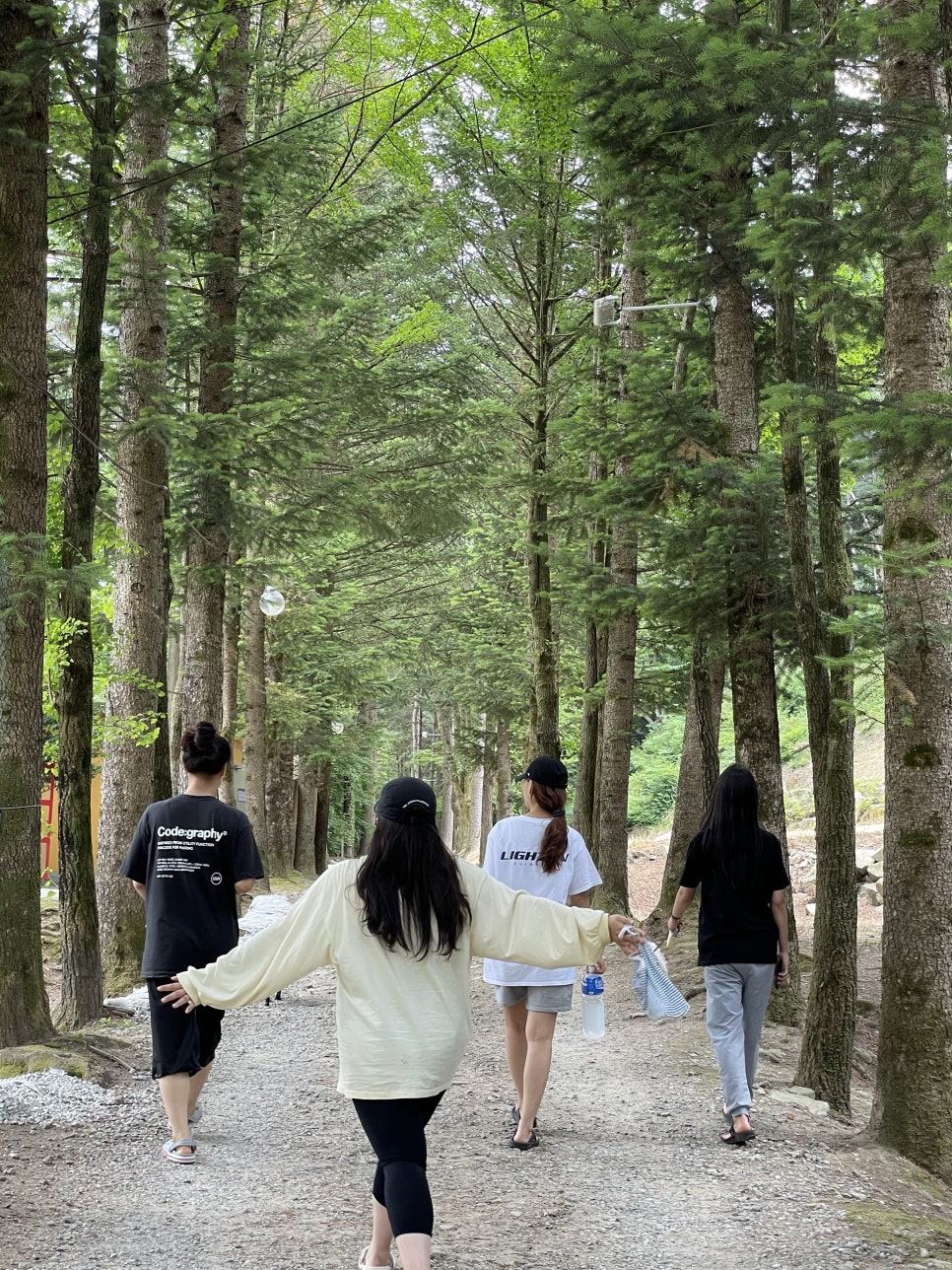 아버지의숲산정캠프 이미지