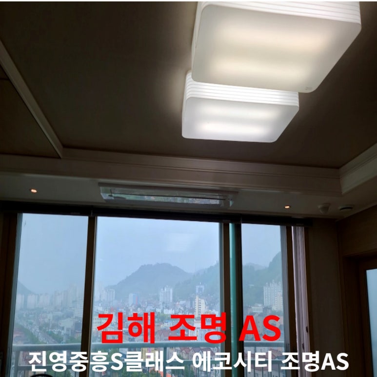 이진에코그린 이미지