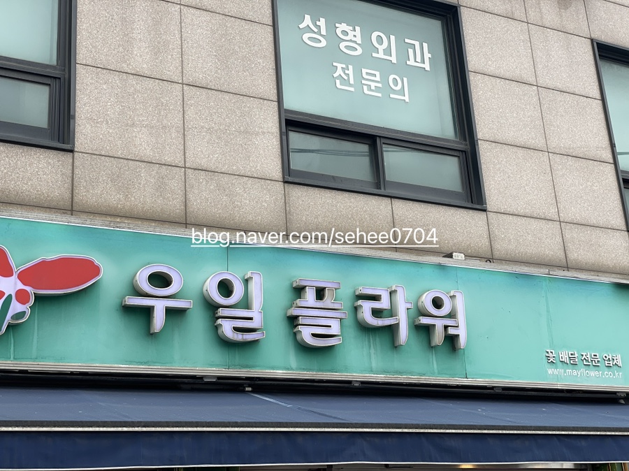 우일플라워 이미지