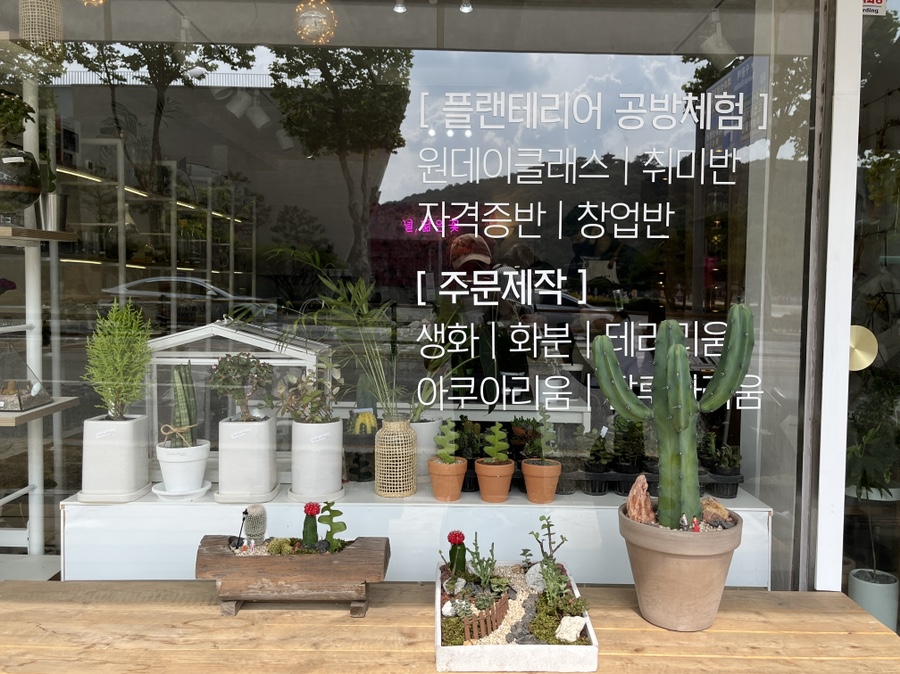 널;닮은꽃 이미지