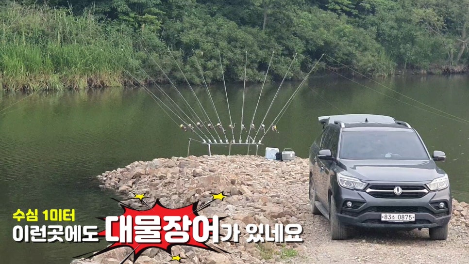대물장어 이미지