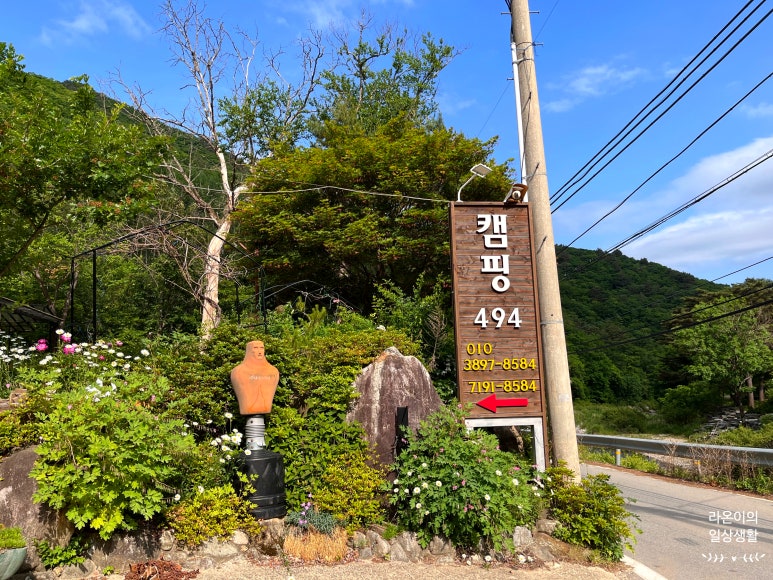 캠핑 494 이미지