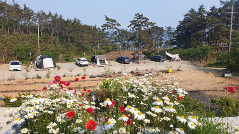 피구지관광농원 이미지