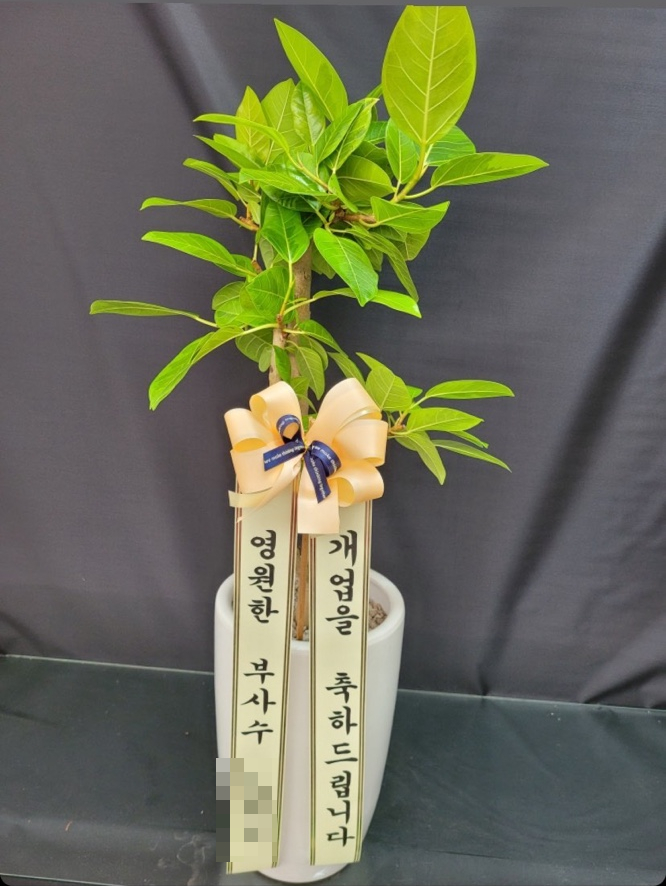 가락본동 어린이집 이미지