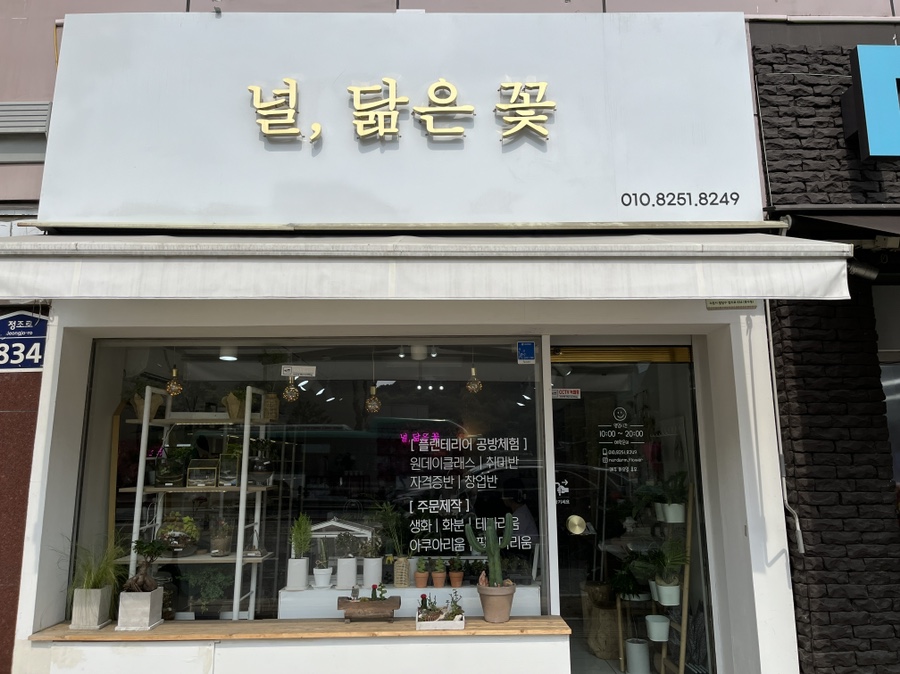 널;닮은꽃 이미지