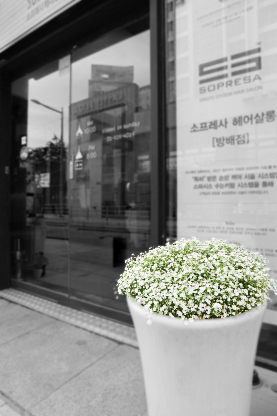 소프레사헤어살롱 이미지