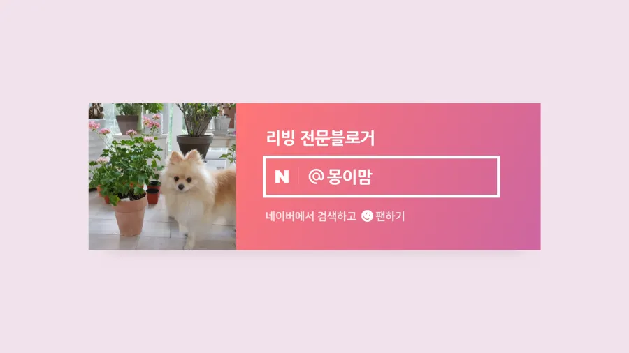 넝쿨에너지 이미지