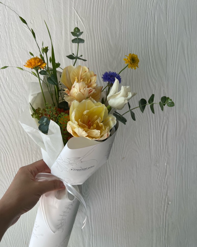 보태니컬 플랜(Botanical Plan) 이미지