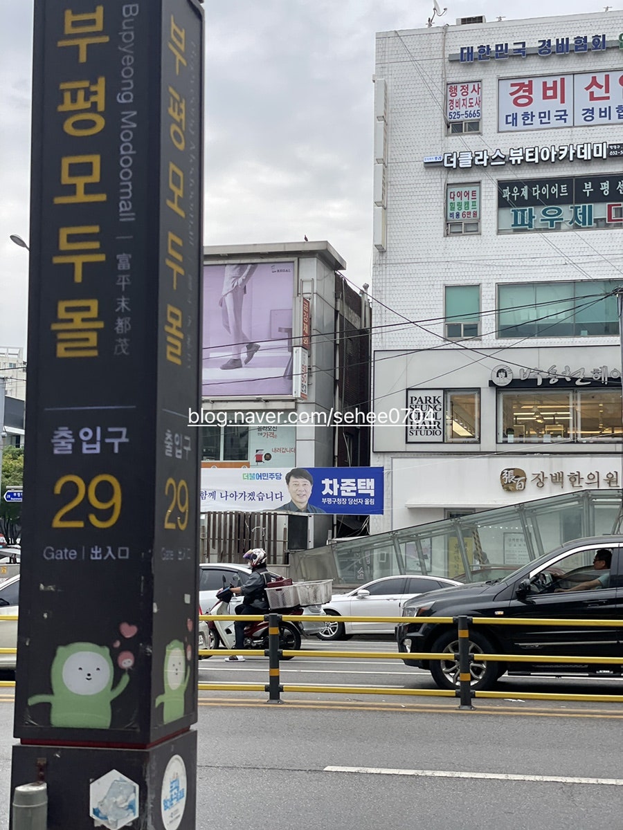 우일플라워 이미지