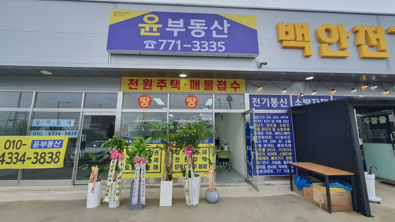 백안전기 이미지