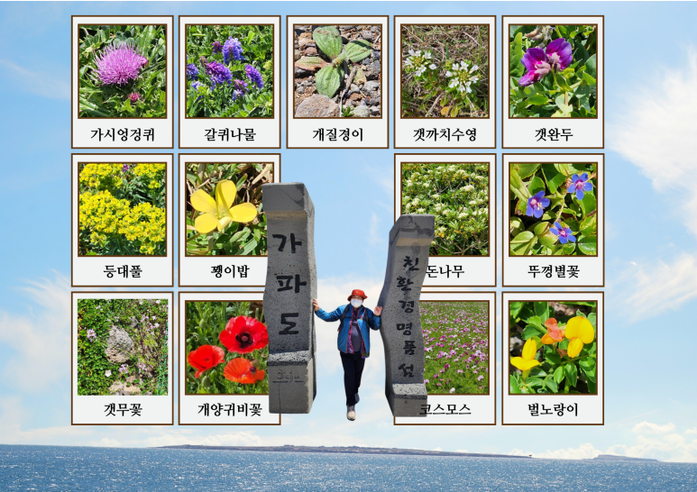보름;꽃 이미지