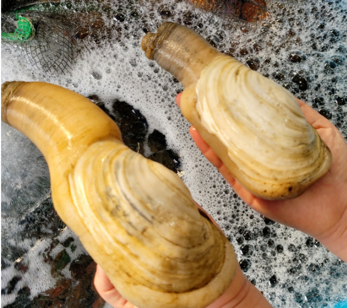 코끼리농수산 이미지
