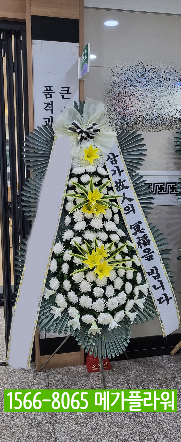 브이아이피서비스 이미지