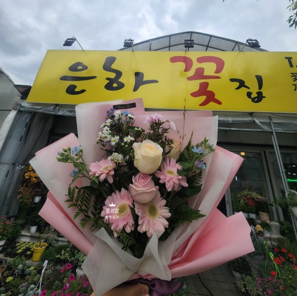 은하꽃집 이미지