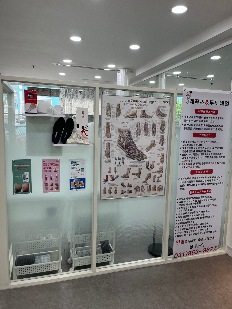 레푸스 앤 두두네일 이미지