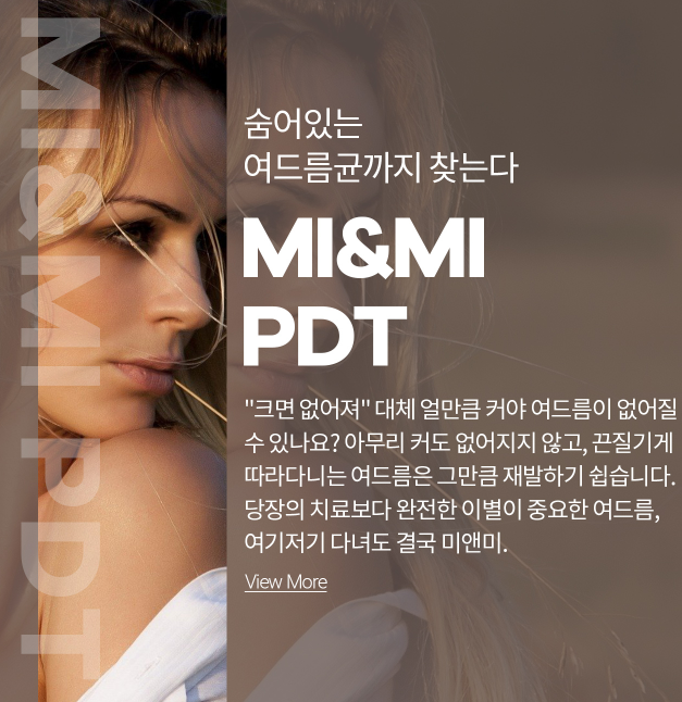 피디티 이미지