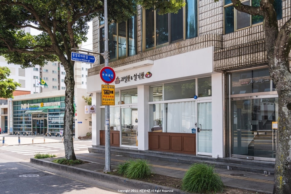 과일애제주 이미지