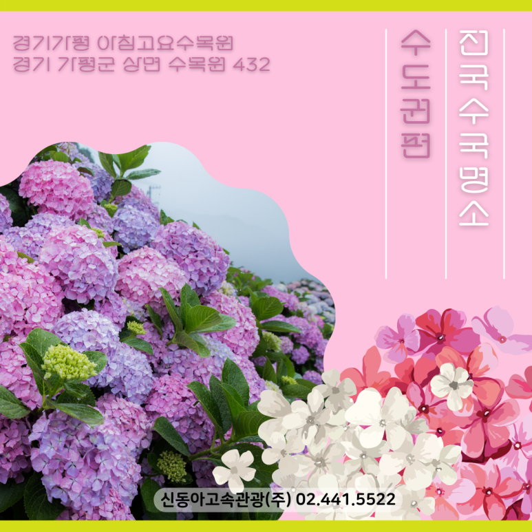 신동아고속관광(주) 이미지